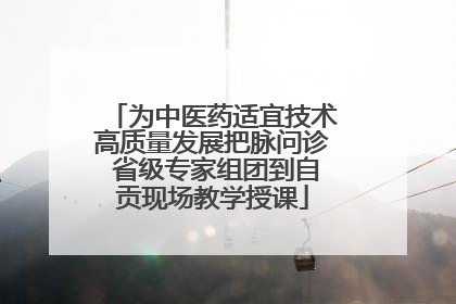 为中医药适宜技术高质量发展把脉问诊 省级专家组团到自贡现场教学授课